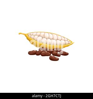 Chocolate cocoa beans isolated superfood. Vector black coffee beans, healthy organic food products. Cacao bean pod in stage of riping, dried and ferme Stock Vector