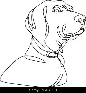 Continuous line drawing illustration of a Labrador retriever dog head looking up  done in mono line or doodle style in black and white on isolated bac Stock Vector