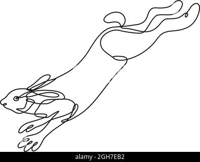 Continuous line drawing illustration of a snowshoe hare, varying hare or snowshoe rabbit jumping side view done in mono line or doodle style in black Stock Vector