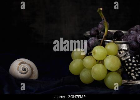 close up of green and blue grapes in a pewter bowl decorated on samz and a snail shell Stock Photo