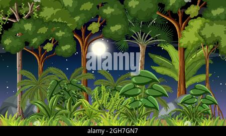 Forest landscape scene at night with many different trees Stock Vector ...