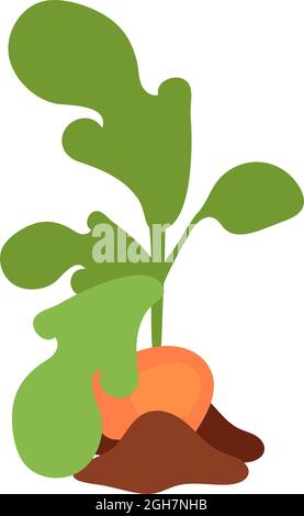 Sweet potato plant semi flat color vector object Stock Vector
