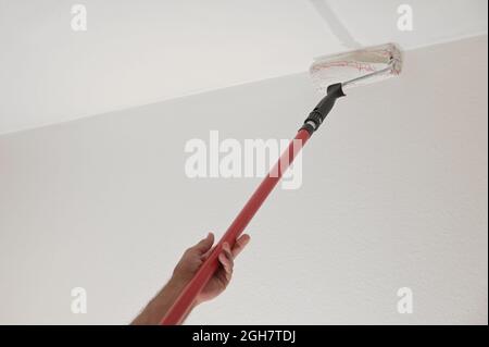 Hand of a man holding a paint roller on a long telescopic pole to paint the ceiling while renovating an apartment, housing concept, copy space, select Stock Photo