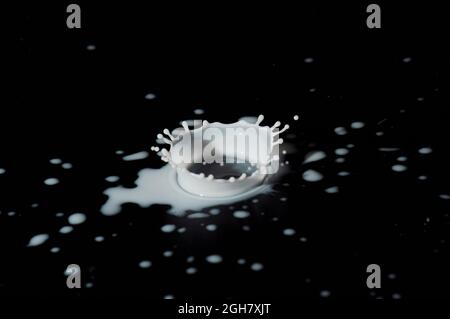 High-speed flash photograph milk droplets. The droplet lands in the liquid and produces a coronet. Stock Photo