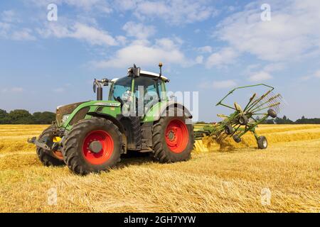 Tractor in a field raking straw with a rotary hay rake in preparation for bailing. UK Stock Photo