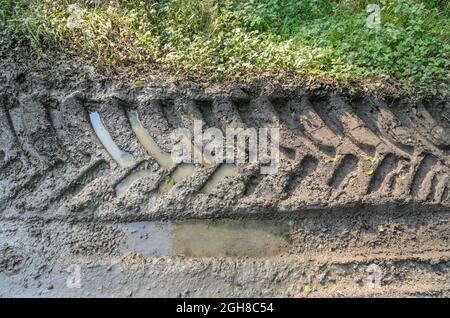 Large and wide tyre tracks or tire marks of a heavy duty tractor on a muddy and wet path Stock Photo