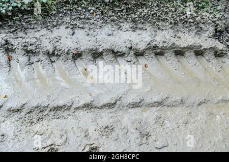 Large and wide tyre tracks or tire marks of a heavy duty tractor on a muddy and wet path Stock Photo