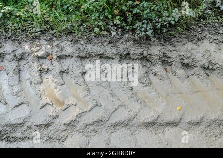 Large and wide tyre tracks or tire marks of a heavy duty tractor on a muddy and wet path Stock Photo