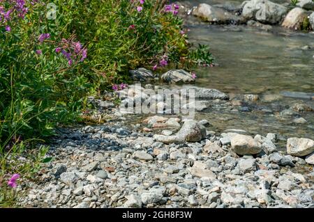 Water stream that goes through a meadow around the Brandywine mountain in Canada Stock Photo