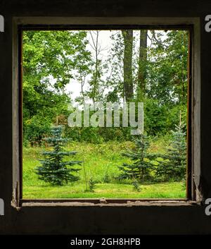 View through window hole from inside of house. Stock Photo