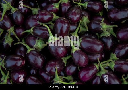 Selective focus on BRINJAL in the market. Stock Photo