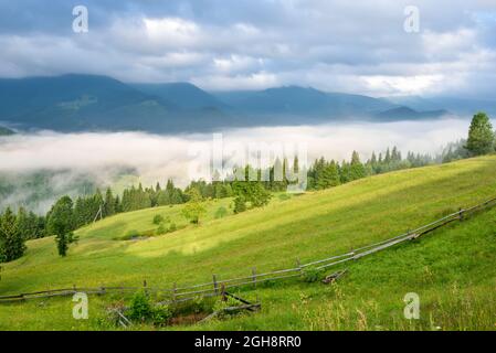 Splendid mountain valley is covered with fog and green alpine meadows. Foggy landscape. Location place Carpathian mountains, Ukraine, Europe. Stock Photo