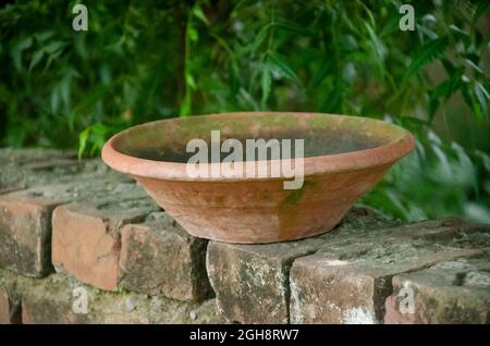 SELECTIVE FOCUS ON HANDMADE CLAY POT PUT ON BRICKS BOUNDRY ISOCLATED WITH GREEN BLUR BACKGROUND IN THE MORNING SUN LIGHT. Stock Photo