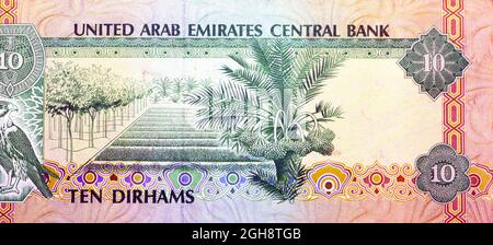 Reverse side of 10 ten Dirhams banknote of the United Arab Emirates, currency of the UAE issued 1982 with Pictures of a sparrowhawk and a Pilot Farm, Stock Photo
