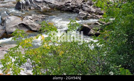 Close-up of the rapids on the Bonnechere River in Renfrew, Ontario, Canada with plants growing on the rocks and in the water. Stock Photo