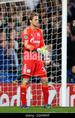 FC Schalke goalkeeper Timo Hildebrand during the Champions League group E soccer match between Chelsea and FC Schalke 04 at Stamford Bridge Stadium in London on November 6, 2013. Stock Photo