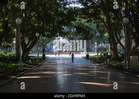 Sydney, Australia. Monday 6th September 2021. The Sydney central business district looking very deserted as the lockdown continues in Sydney due to the Delta strain of COVID-19. Hyde Park, Sydney. Credit: Paul Lovelace/Alamy Live News Stock Photo