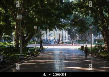 Sydney, Australia. Monday 6th September 2021. The Sydney central business district looking very deserted as the lockdown continues in Sydney due to the Delta strain of COVID-19. Hyde Park, Sydney. Credit: Paul Lovelace/Alamy Live News Stock Photo