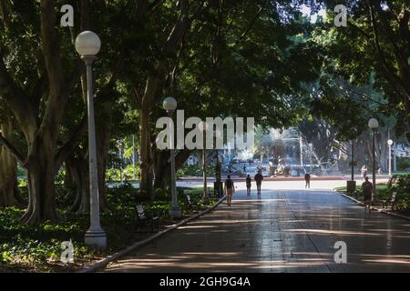 Sydney, Australia. Monday 6th September 2021. The Sydney central business district looking very deserted as the lockdown continues in Sydney due to the Delta strain of COVID-19. Hyde Park, Sydney. Credit: Paul Lovelace/Alamy Live News Stock Photo