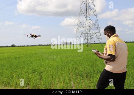 Kalungu, Kalungu District in Uganda. 2nd June, 2021. Local technician Herbert Agaba controls a plant protection drone to spray pesticides at a Chinese-run rice farm in Lukaya, Kalungu District in Uganda, June 2, 2021. TO GO WITH 'Feature: Uganda boosts agricultural commercialization with help of Chinese technologies' Credit: Zhang Gaiping/Xinhua/Alamy Live News Stock Photo