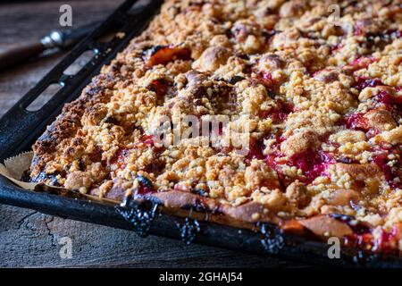 Plum crumble cake fresh and homemade baked on a baking sheet Stock Photo