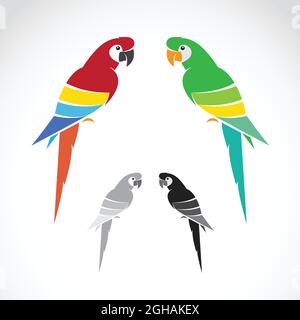 Vector image of parrot on white background. Easy editable layered vector illustration. Wild Animals. Birds. Stock Vector