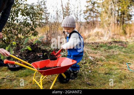 Full length of boy putting dirt with shovel in wheelbarrow at back yard Stock Photo