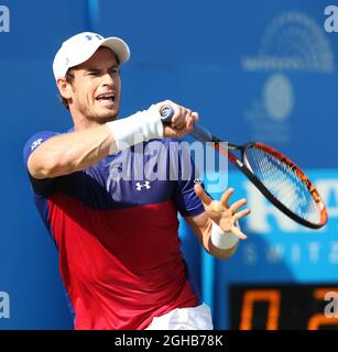 Andy Murray in action during the Aegon Championships at the Queen's Club, London. Picture date 20th June 2017. Picture credit should read: David Klein/Sportimage via PA Images Stock Photo