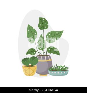 Vector illustration with home plants in pots. Decorative plants in the interior of the house. Flat style. Stock Vector