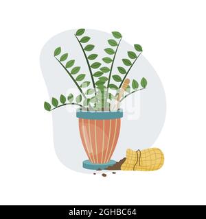 A home plant in a pot, a shovel and soil in a bag. Planting. Decorative plants in the interior of the house. Flat style. Stock Vector