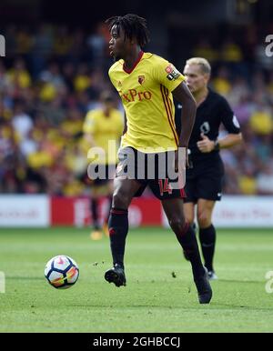 Soccer - npower Football League Championship - Watford Play Off Feature  2012/13 - Vicarage Road. Nathaniel Chalobah, Watford Stock Photo - Alamy