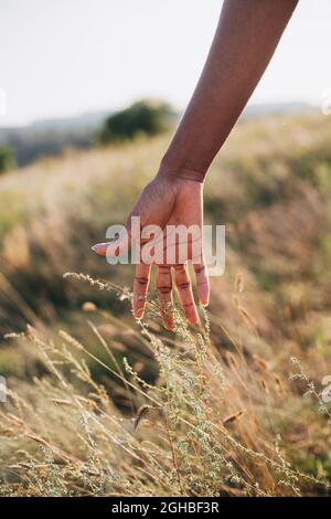 A hand of a black young woman nature summer autumn unity concept human eco Stock Photo