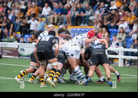 COVENTRY, ENGLAND - 4th- SEPT  : Coventry Rugby and Wasps rugby in a scrum during a Friendly  match between  Coventry Rugby Vs  Wasps Rugby  at Butts Park Arena on 4th sept 2021 in Coventry, England .Final score; Wasps 52: 21Coventry Stock Photo