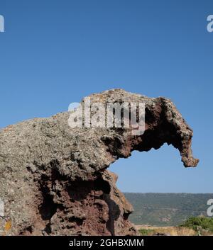the rock of the elephant near Castelsardo in sardinia ( Italian name: Roccia dell'Elefante ) tourist attraction Stock Photo