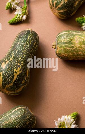 Fresh and green elongated pumpkin and white flowers on a brown wooden table Stock Photo