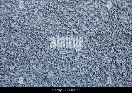 detail of a cement wall with gray grained texture Stock Photo