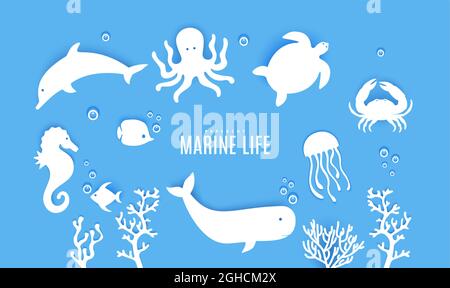 Dolphin silhouette with sea underwater paper cut landscape. 3d Vector frame  in shape of playful ocean animal body with serene and peaceful scene of  aquatic vegetation and fishes in blue water depth