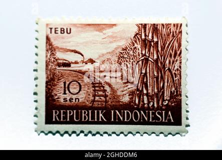 A postage stamp printed in Indonesia shows Sugar cane TEBU, Agricultural Products series, circa 1960, vintage retro, written Republic Indonesia, value Stock Photo