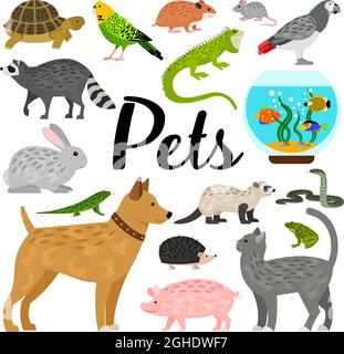 Large vector collection of adorable home animals Stock Vector