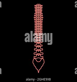 Neon human spine red color vector illustration flat style light image Stock Vector