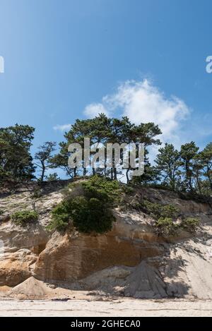 Closeup of the rocks with green trees. Cape Cod, Massachusetts Stock ...