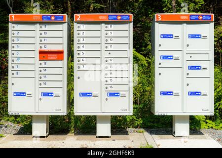 Saint John, NB, Canada - August 21, 2021: Canada Post community mailboxes installed beside a rural road. Trees and bushed behind. Stock Photo