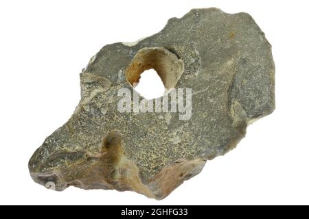 adder stone from Heligoland, Germany isolated on white background Stock ...
