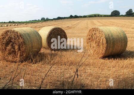 Hay bales in field waiting to be harvested by farmer on a summers afternoon near Wakefield in West Yorkshire in UK Stock Photo