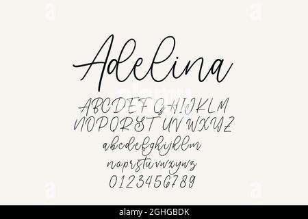 Vintage decorative font with label design and background pattern. Stock Vector