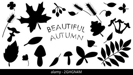 Black autumn leaves silhouettes isolated on white background. Big set of vector fall tree foliage of maple, oak, birch, some berries and mushrooms Stock Vector