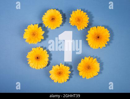 Number 1 surrounded with yellow gerbera flowers on blue background. Stock Photo