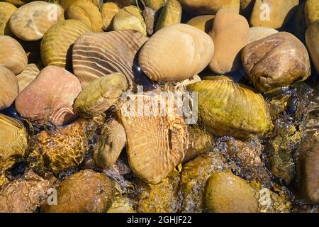 River stones at the bottom of the river l'Herbasse near Charmes sur l'Herbasse Stock Photo