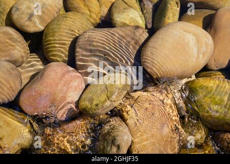 River stones at the bottom of the river l'Herbasse near Charmes sur l'Herbasse Stock Photo