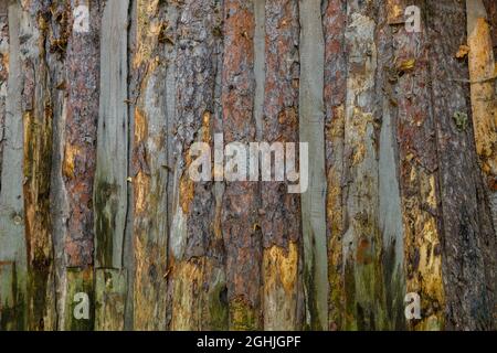 wattle and daub ceiling texture and flat full frame background Stock ...